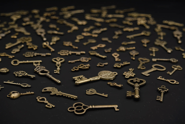 شاه طوطی یا طوطی اسکندر: 12 نکته برای آشنایی بیشتر