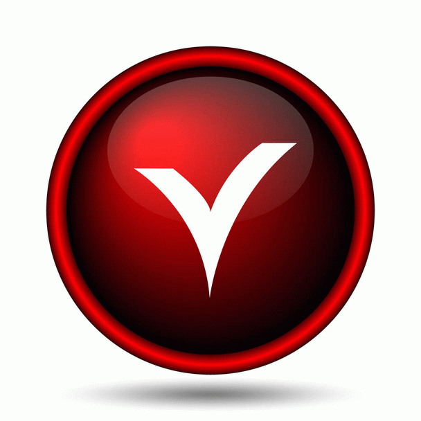 چگونه طوطی برزیلی خود را سخنگو کنیم؟ (14 نکته در 6 قدم)